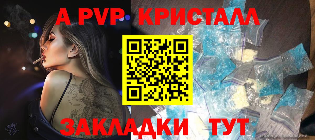 A-PVP СК КРИС Алейск