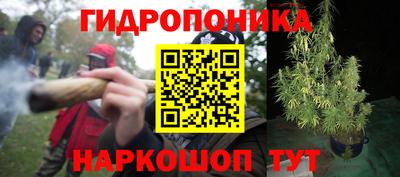 дмт Абинск