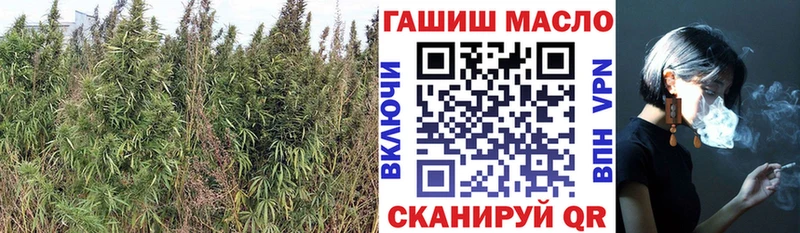 ТГК Wax купить цена Алейск