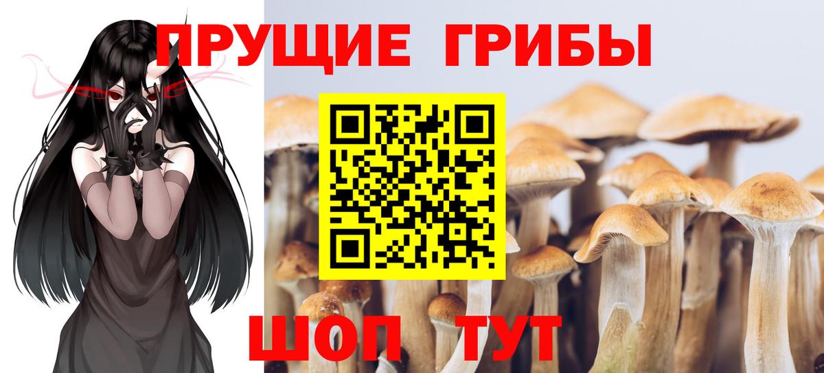 Галлюциногенные грибы Cubensis  Вход с VPN  Алейск 